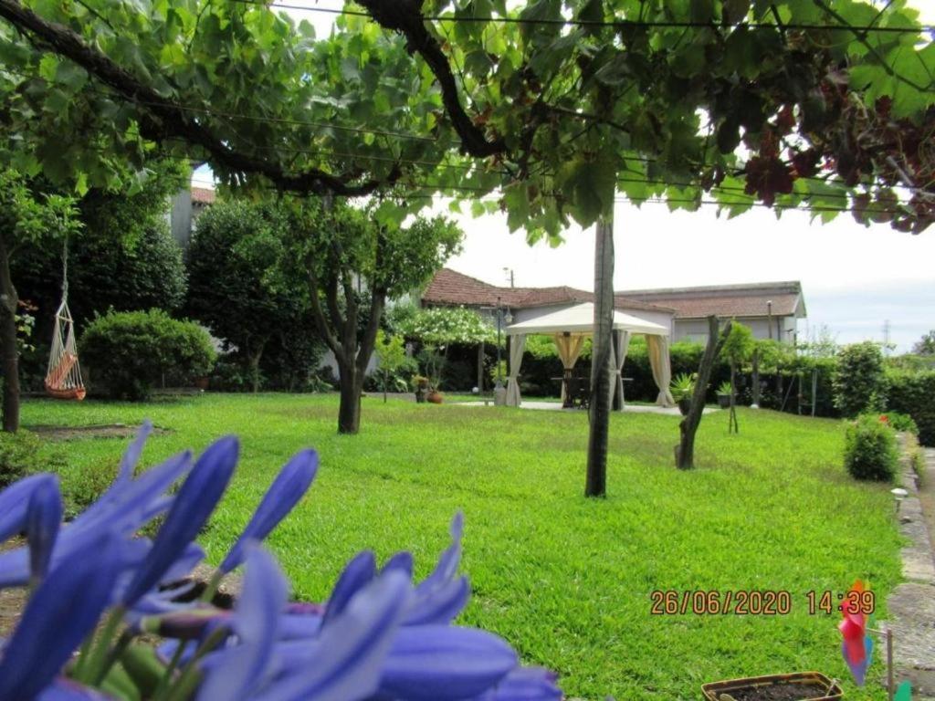 Casa De Sao Braz Villa Landim Exterior photo